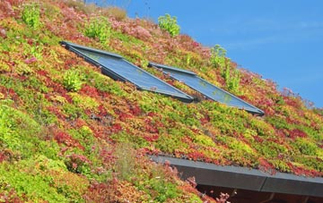Broad Chalke living roof systems